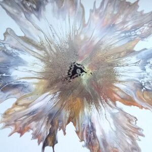 Caseo - Rupture de stock